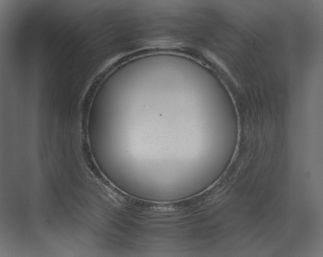 X0000074231315200608250806
