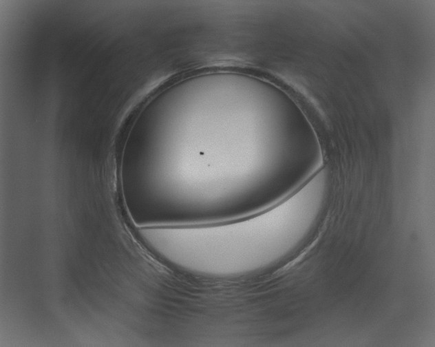 X0000074231317200608250806