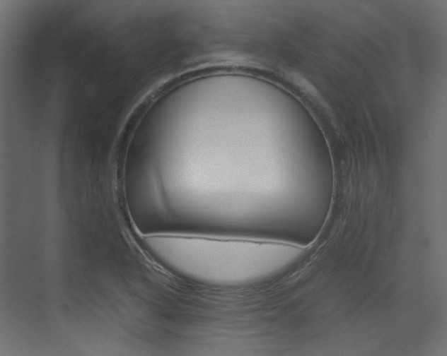 X0000074231318200608250806
