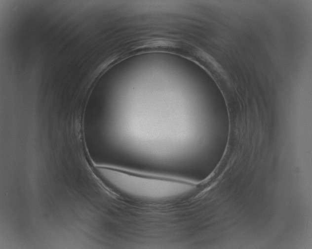 X0000074231321200608250806