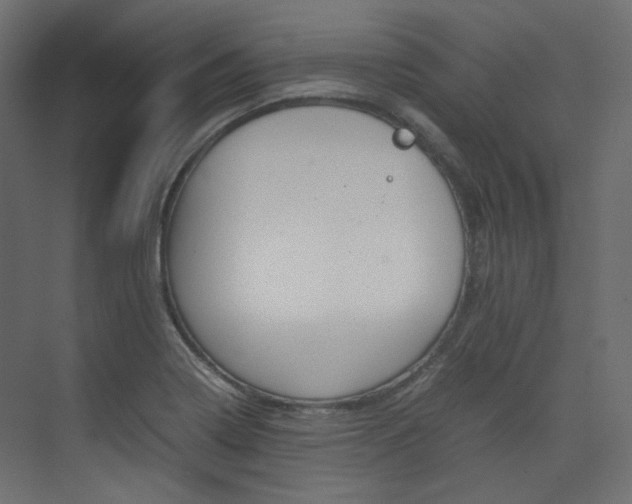 X0000074231322200608250806