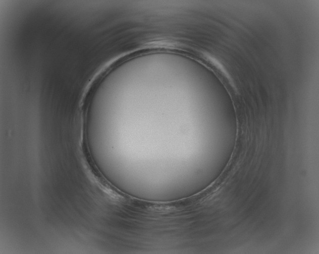 X0000074231323200608250806