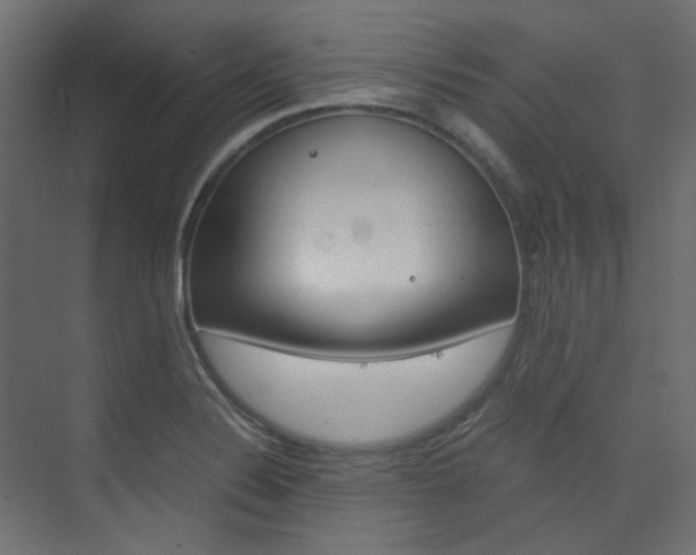 X0000074231324200608250806