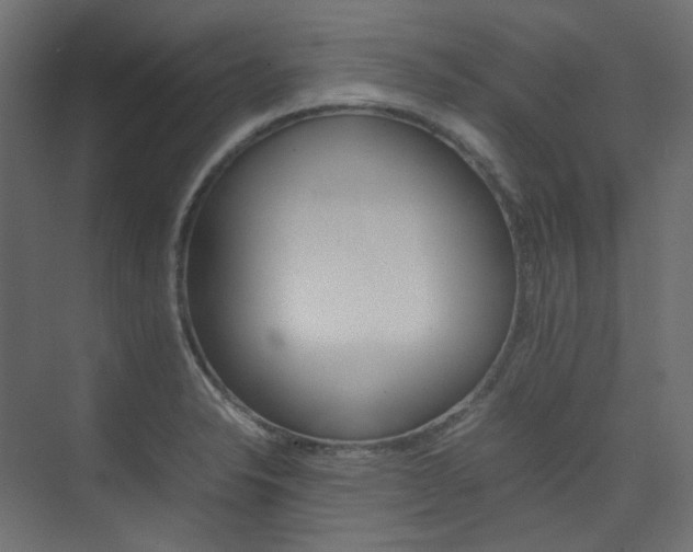 X0000074231326200608250806