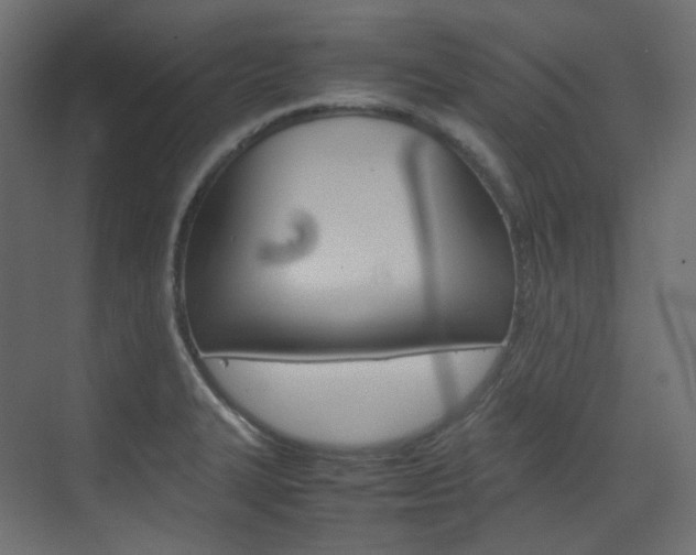 X0000074231327200608250806