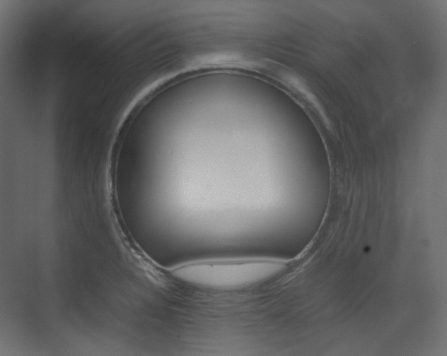 X0000074231328200608250806