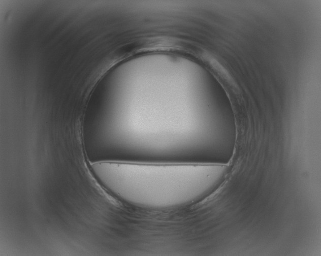 X0000074231329200608250806