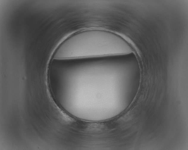 X0000074231333200608250806