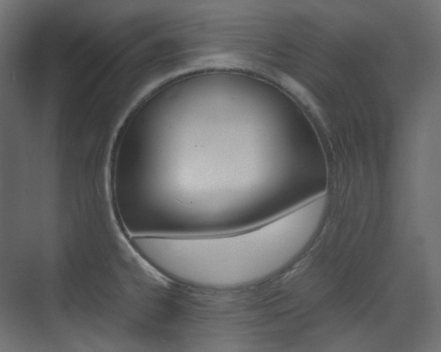 X0000074231334200608250806