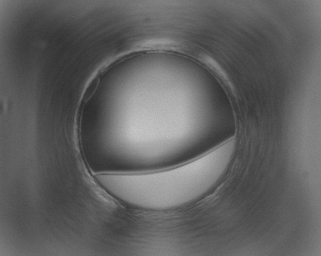 X0000074231336200608250806