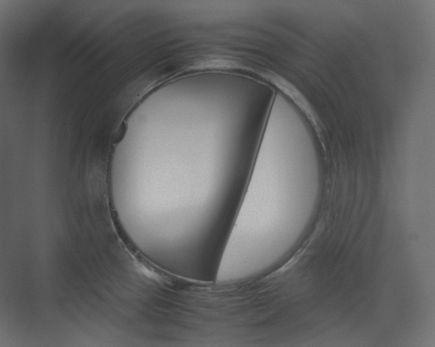 X0000074231337200608250806