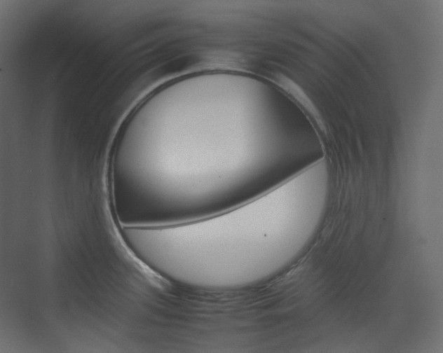X0000074231339200608250806