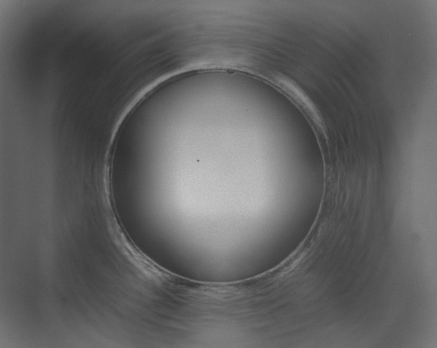 X0000074231340200608250806