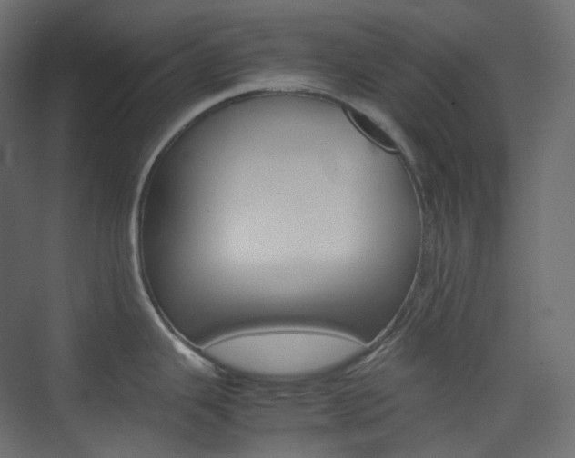 X0000074231343200608250806