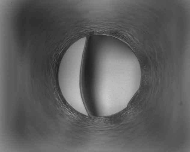 X0000074231345200608250806