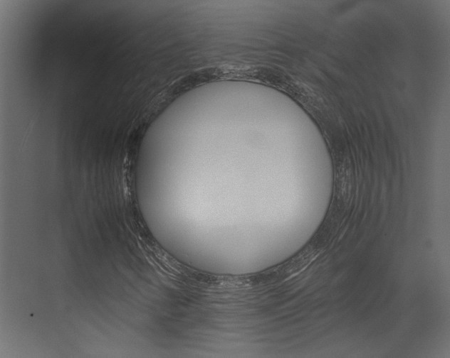 X0000074231346200608250806