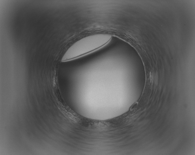X0000074231348200608250806