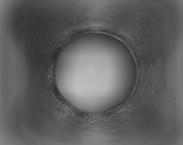 X0000074231349200608250806