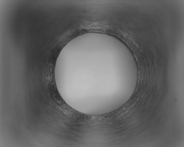 X0000074231350200608250806