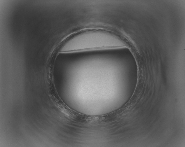 X0000074231352200608250806