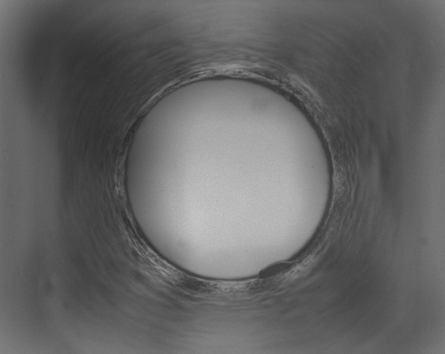 X0000074231353200608250805