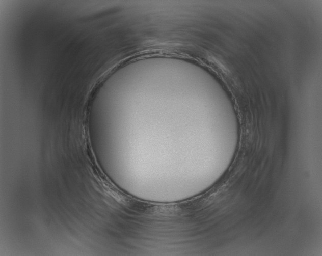 X0000074231354200608250805