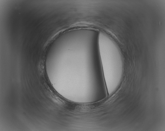 X0000074231355200608250805