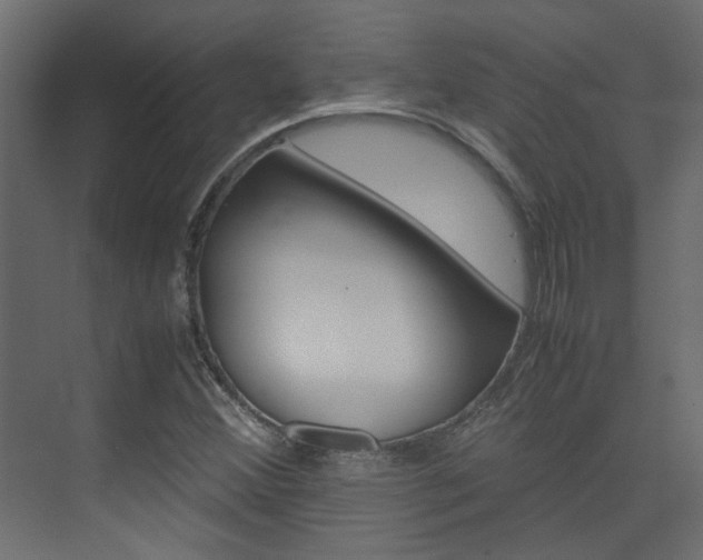 X0000074231356200608250805
