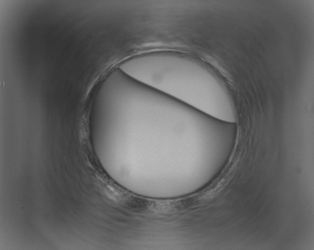 X0000074231357200608250805