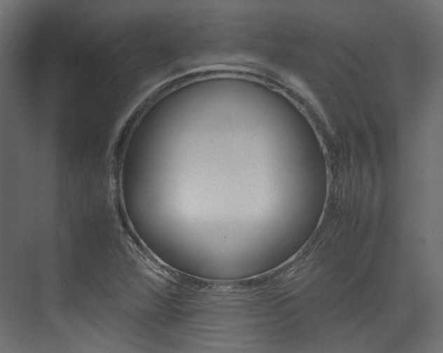 X0000074231360200608250805