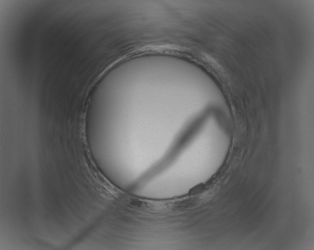 X0000074231361200608250805