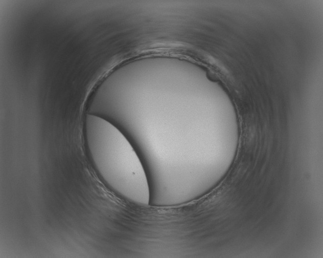 X0000074231362200608250805