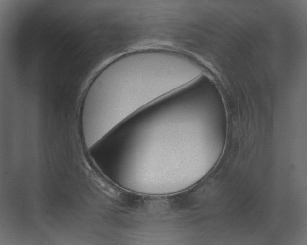 X0000074231363200608250805