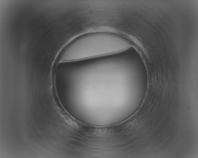 X0000074231364200608250805
