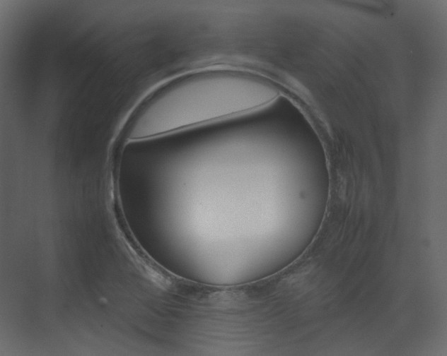 X0000074231368200608250805