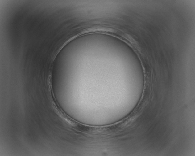 X0000074231369200608250805