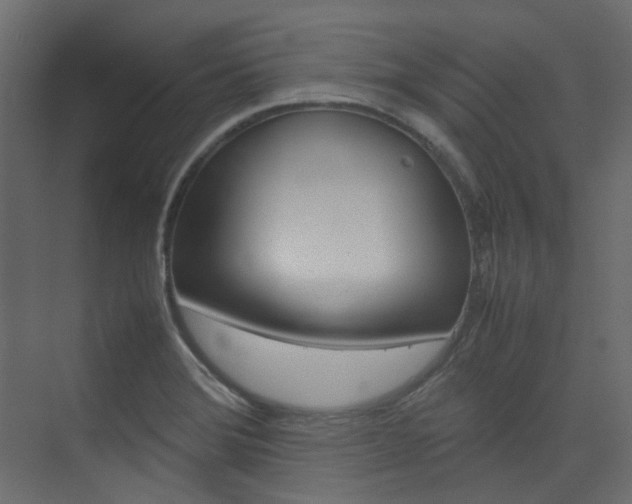 X0000074231372200608250805