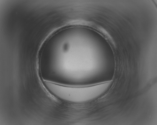 X0000074231376200608250805