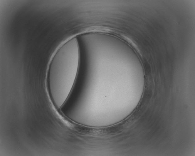 X0000074231379200608250805