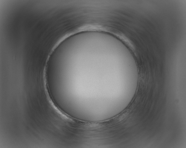 X0000074231382200608250805
