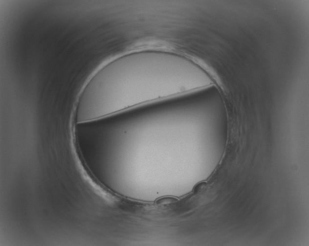 X0000074231383200608250805