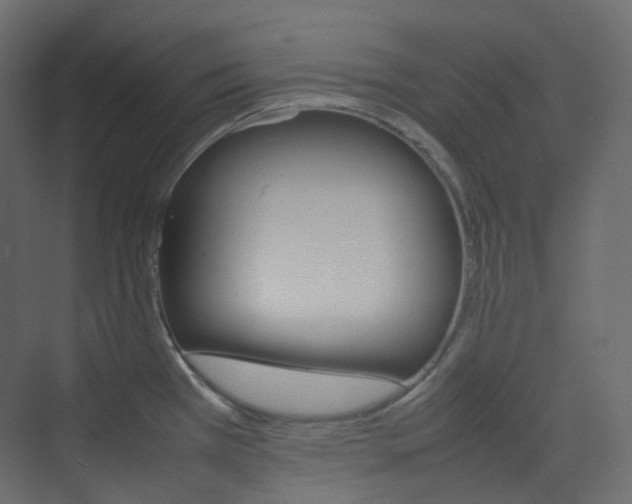 X0000074231385200608250805
