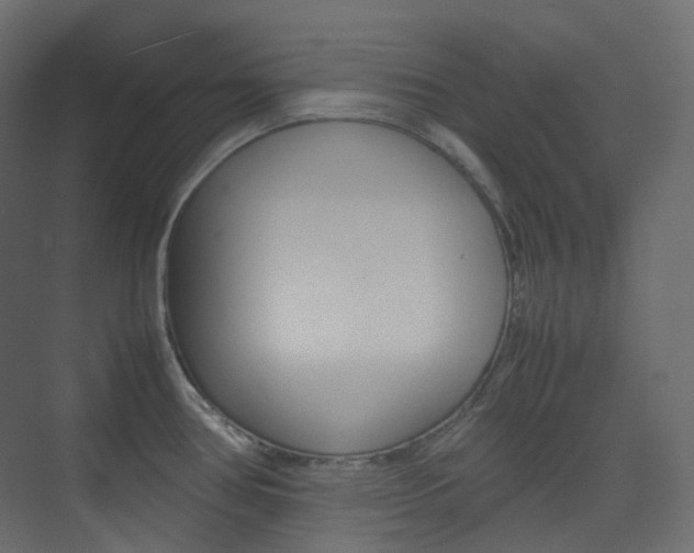 X0000074231386200608250805