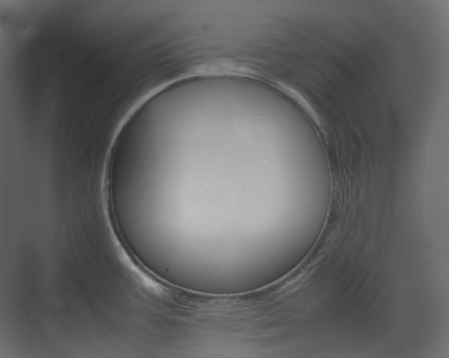 X0000074231387200608250805