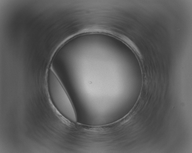 X0000074231388200608250805