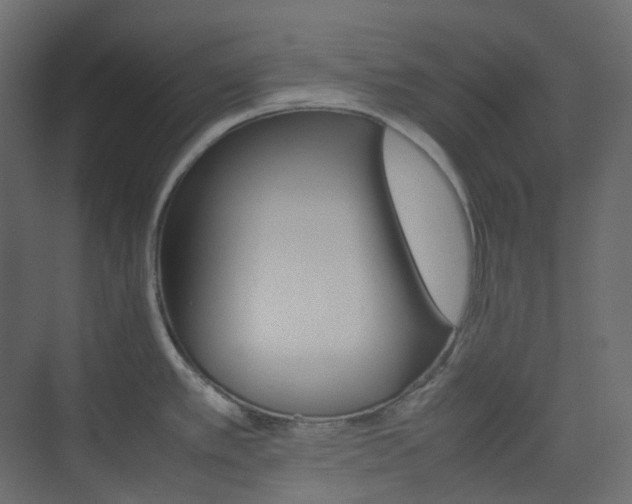 X0000074231389200608250805