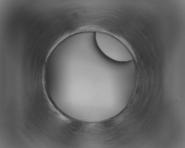 X0000074231390200608250805
