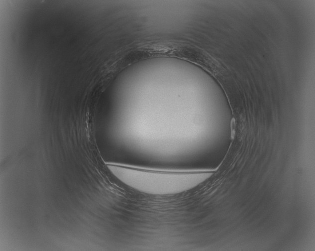 X0000074231394200608250804