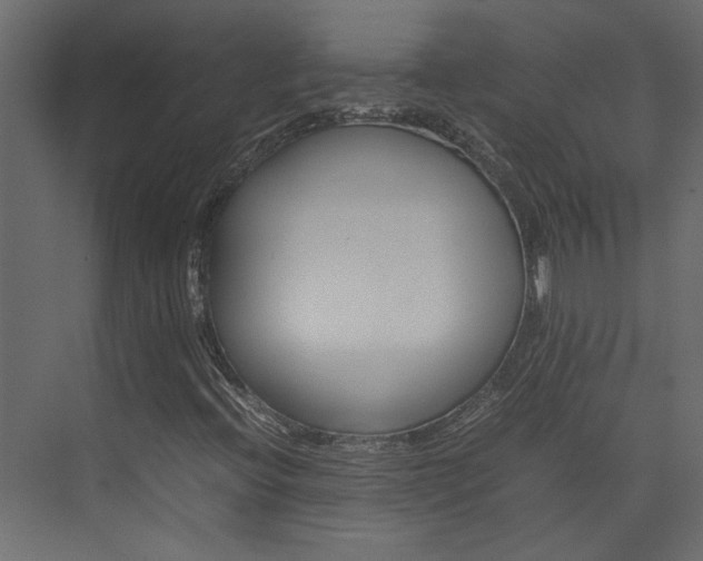 X0000074231396200608250804