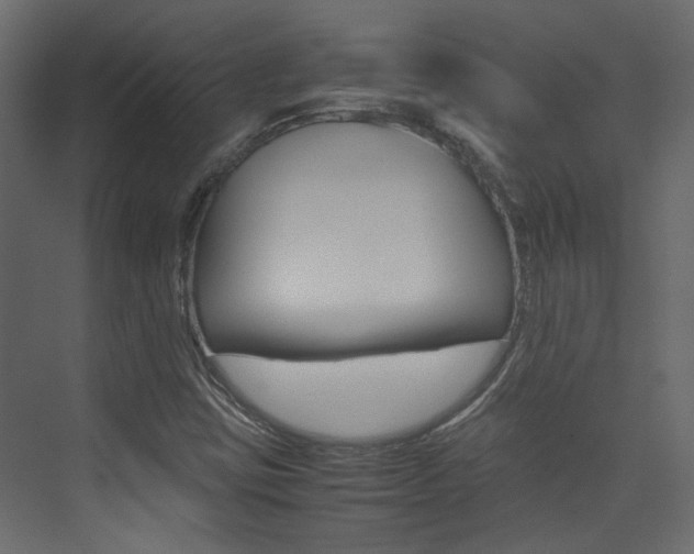 X0000074231403200608250804